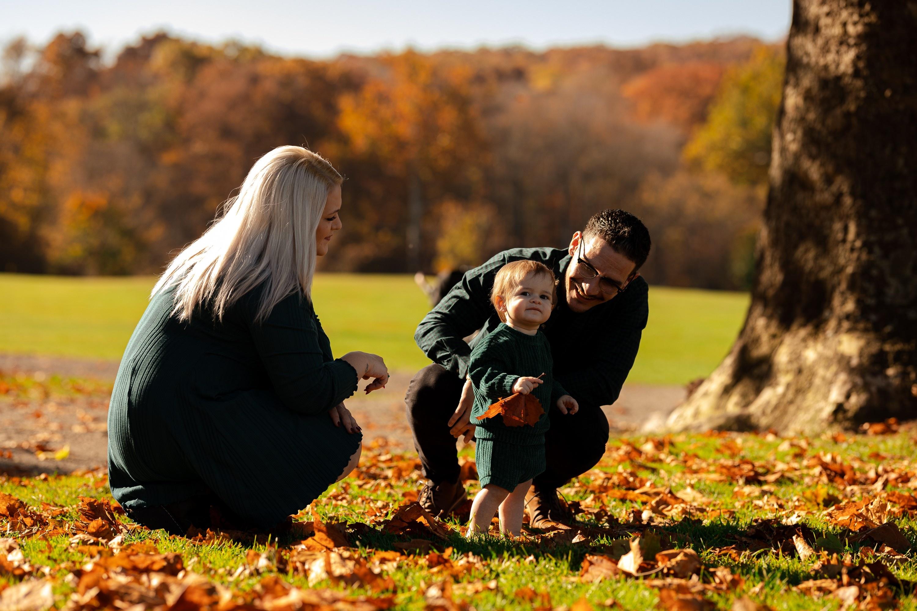 carousel-hero-element image-1